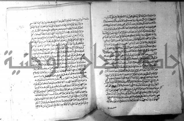 نسيم الرياض 3 