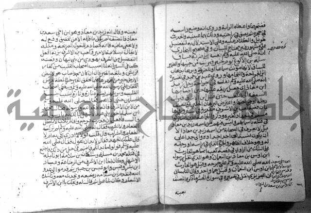 نسيم الرياض 3 