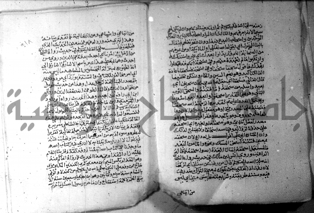 نسيم الرياض 3 