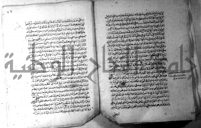 نسيم الرياض 3 