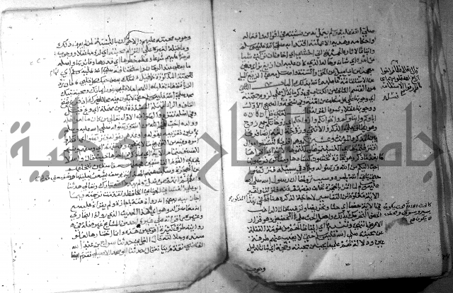 نسيم الرياض 3 