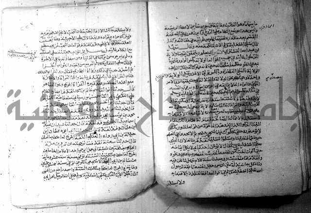 نسيم الرياض 3 