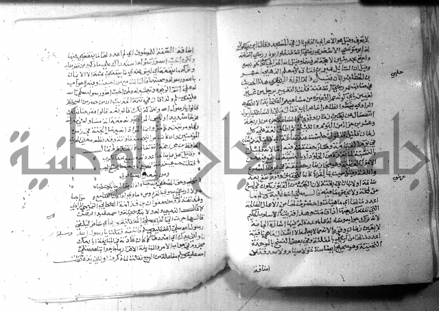 نسيم الرياض 3 