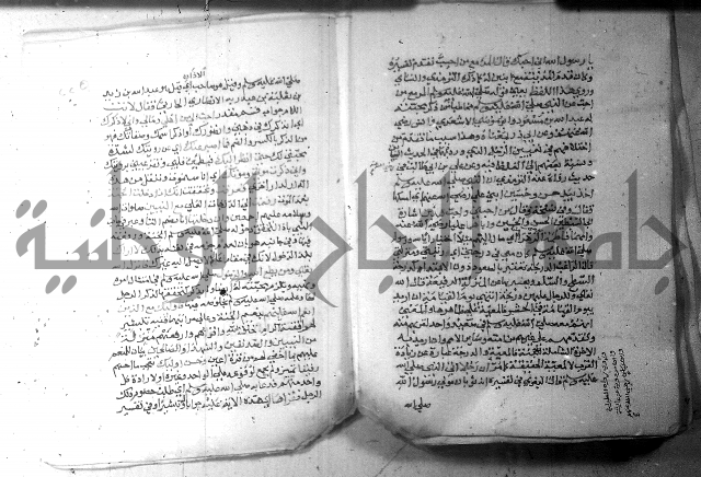 نسيم الرياض 3 