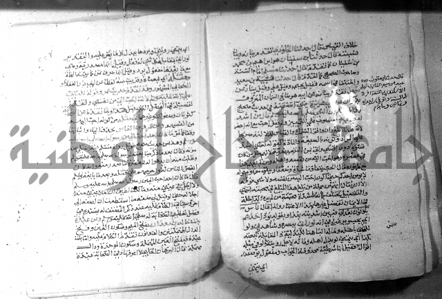 نسيم الرياض 3 