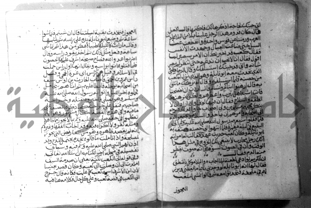 نسيم الرياض 3 