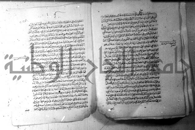 نسيم الرياض 3 