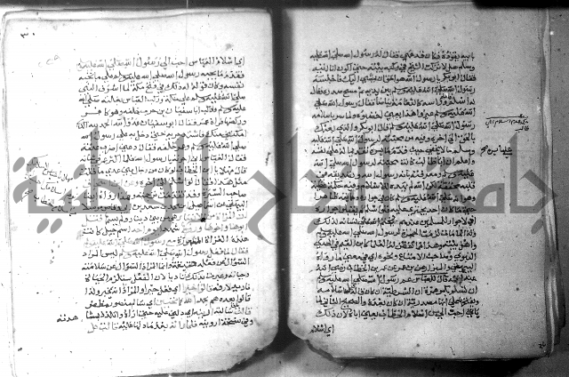 نسيم الرياض 3 