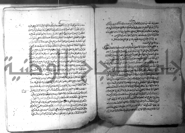 نسيم الرياض 3 