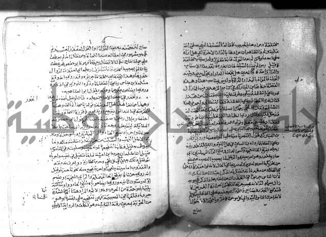 نسيم الرياض 3 