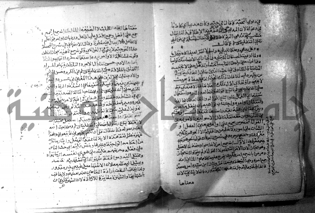 نسيم الرياض 3 