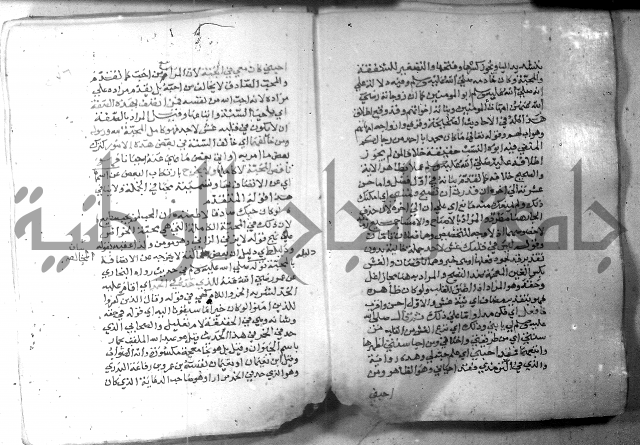 نسيم الرياض 3 