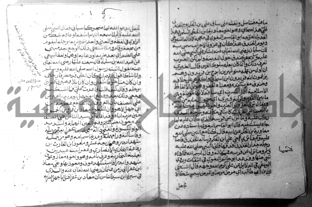 نسيم الرياض 3 