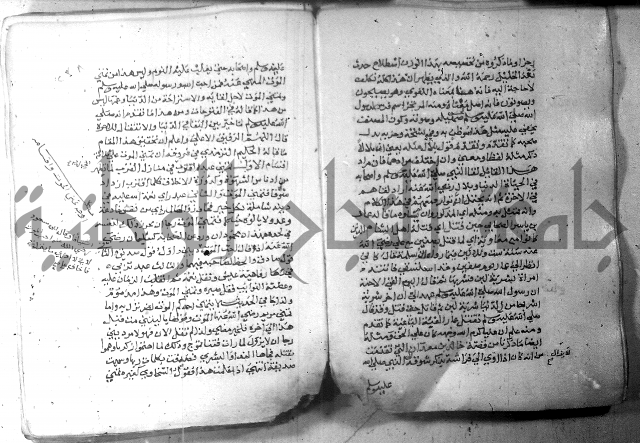 نسيم الرياض 3 