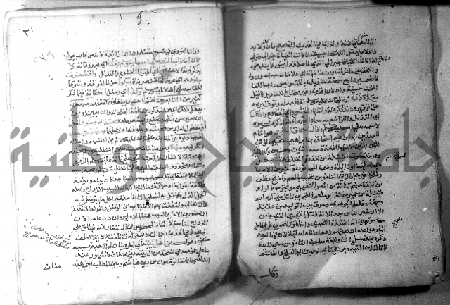 نسيم الرياض 3 