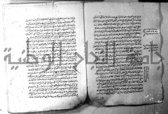 نسيم الرياض 3 