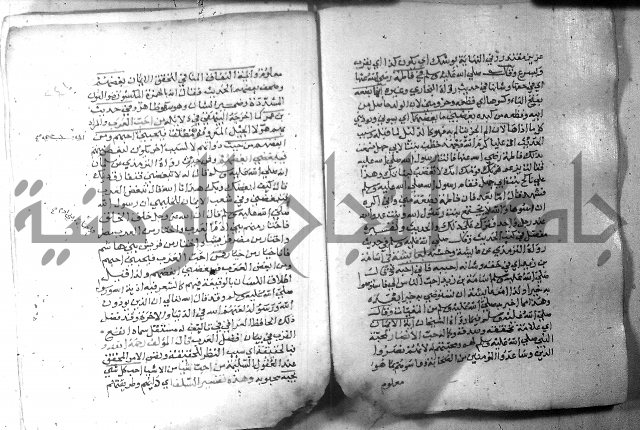 نسيم الرياض 3 