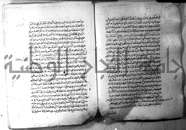 نسيم الرياض 3 