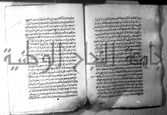 نسيم الرياض 3 