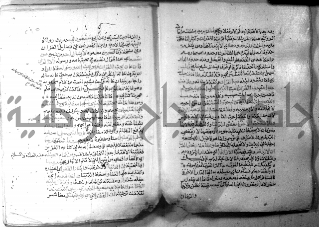 نسيم الرياض 3 