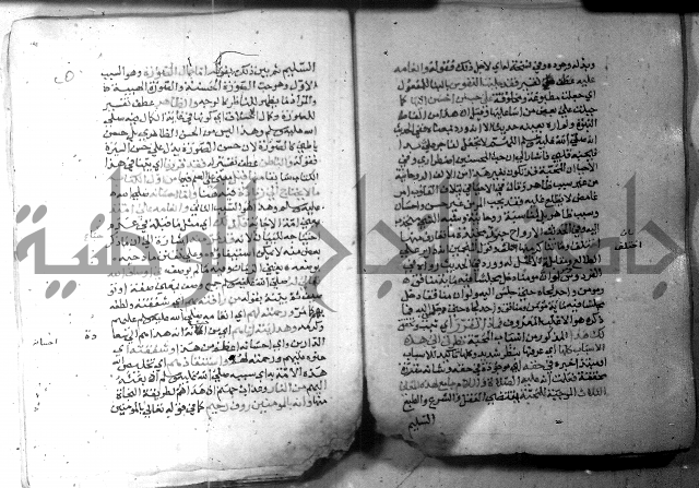 نسيم الرياض 3 