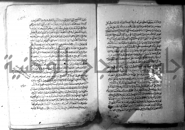 نسيم الرياض 3 