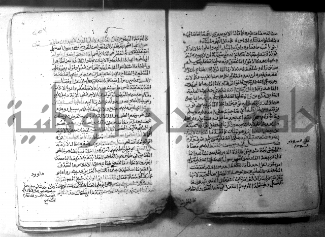 نسيم الرياض 3 