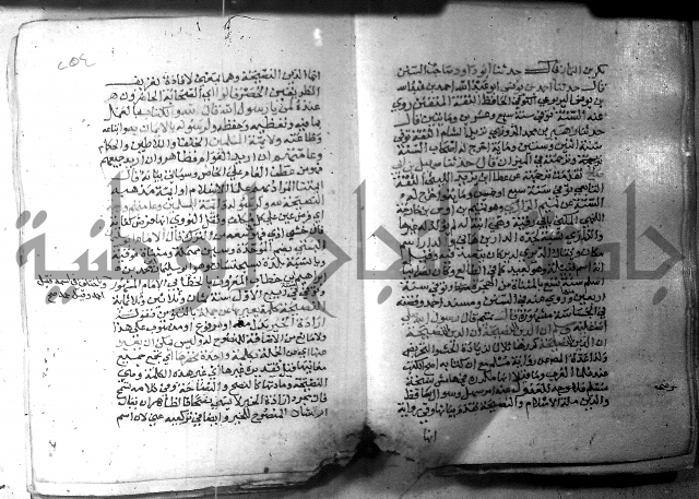 نسيم الرياض 3 