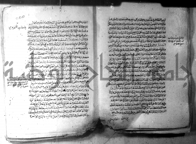 نسيم الرياض 3 