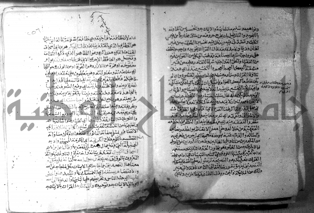 نسيم الرياض 3 