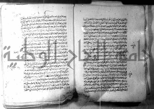 نسيم الرياض 3 