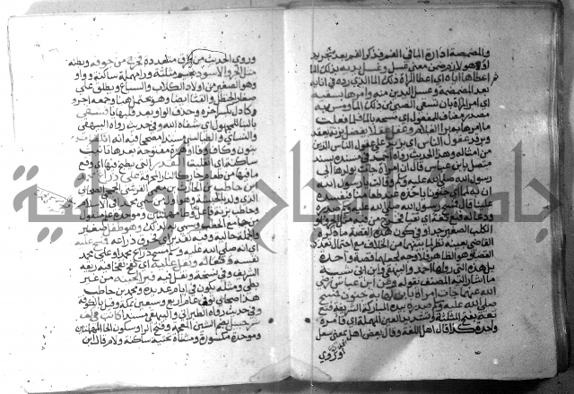 نسيم الرياض 3 