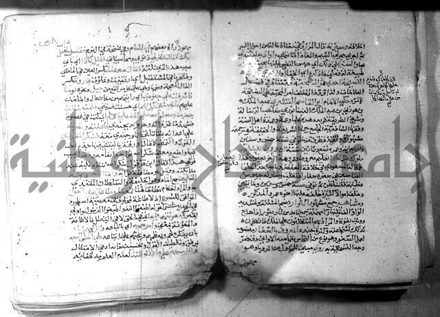 نسيم الرياض 3 