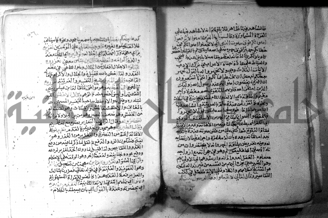 نسيم الرياض 3 