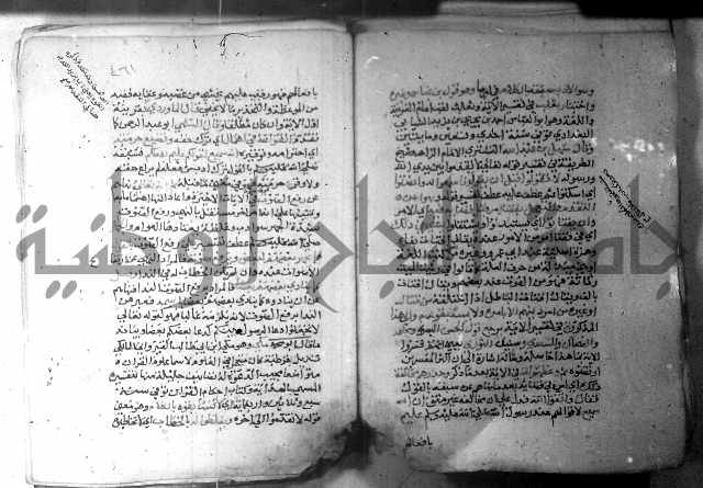 نسيم الرياض 3 