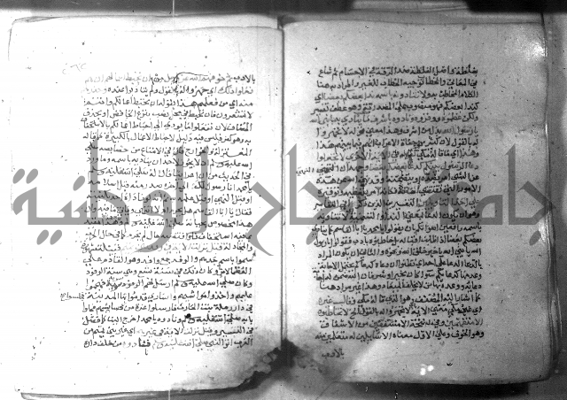 نسيم الرياض 3 