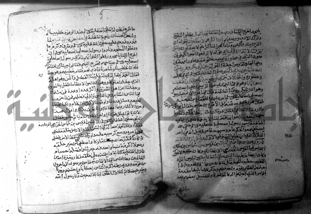 نسيم الرياض 3 