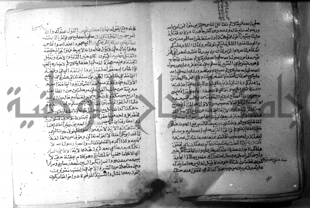 نسيم الرياض 3 