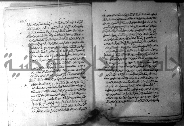 نسيم الرياض 3 