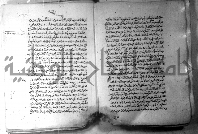 نسيم الرياض 3 