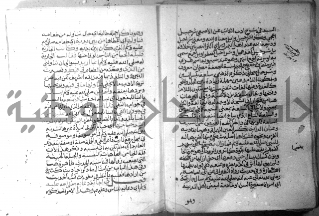 نسيم الرياض 3 