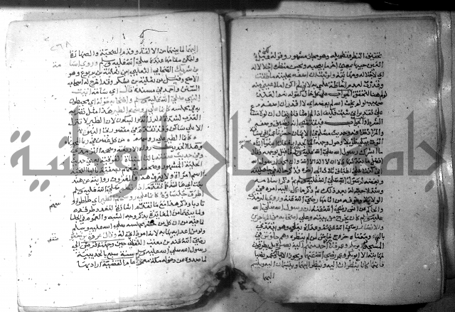 نسيم الرياض 3 