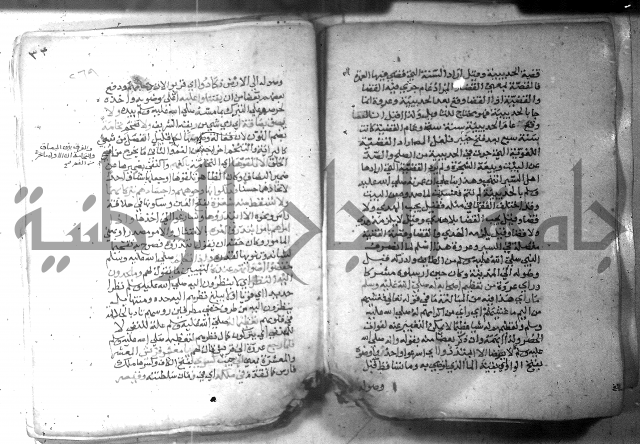 نسيم الرياض 3 