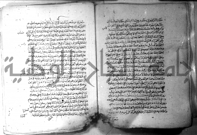 نسيم الرياض 3 