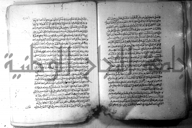 نسيم الرياض 3 