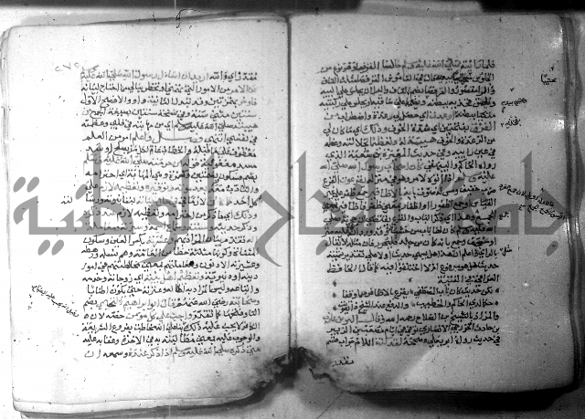 نسيم الرياض 3 