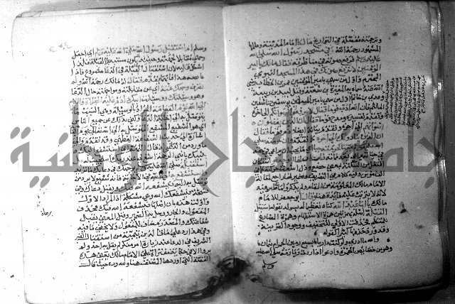 نسيم الرياض 3 