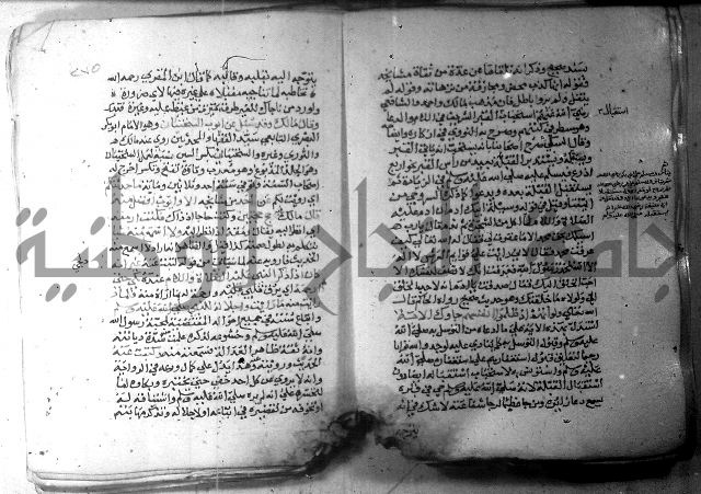 نسيم الرياض 3 