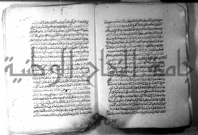 نسيم الرياض 3 