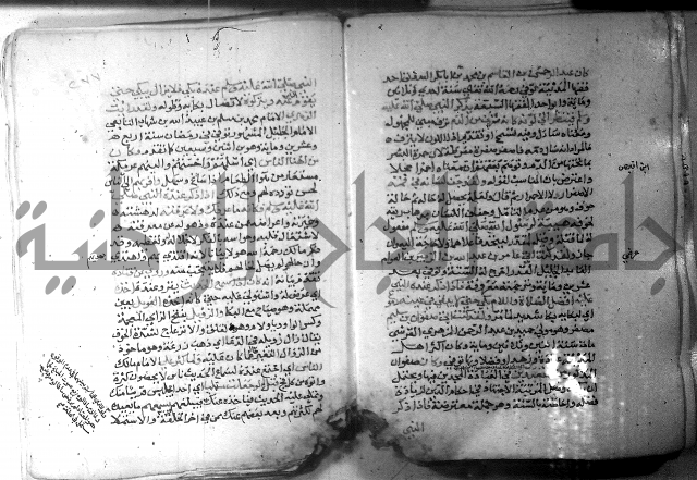 نسيم الرياض 3 